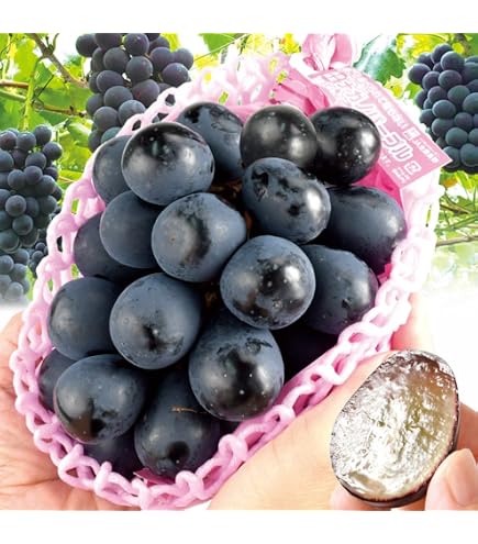 Amazon.co.jp: ナガノパープル 種無し葡萄 約1.2kg 2～3房 長野県産